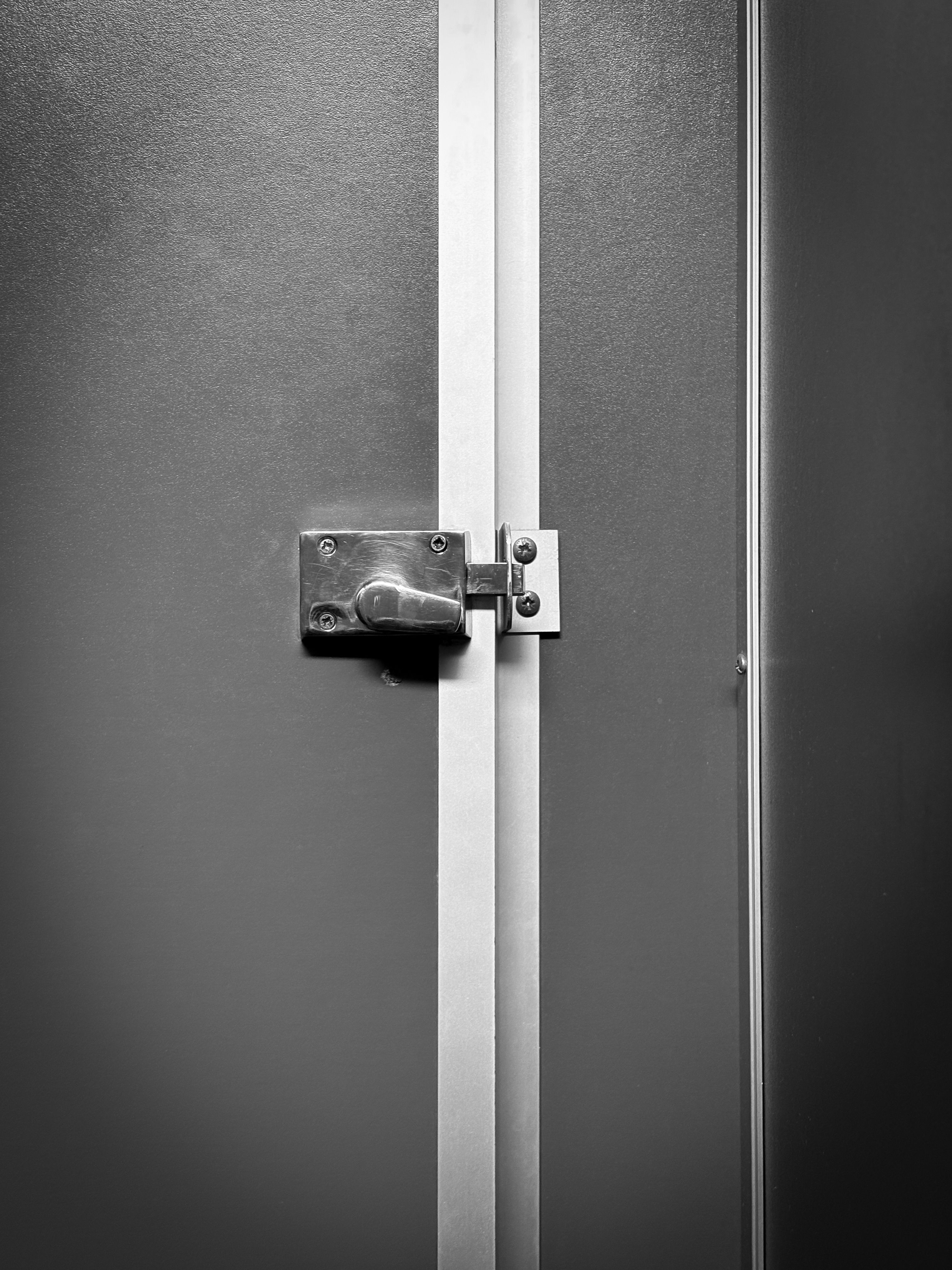 Cerrojo adicional en puerta blindada (capital)